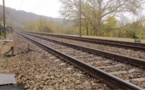 Marly-le-Roi : tué par un train de voyageurs en se jetant sur les rails