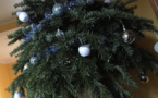 Yvelines : le sapin de Noël s'enflamme et détruit le pavillon à Plaisir
