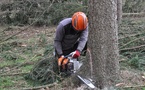 Un homme grièvement blessé, écrasé par l’arbre qu’il tronçonnait à Pullay, dans l’Eure