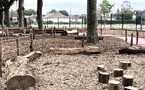 ​Grand Quevilly : la cour de l’école Maryse-Bastié fait peau neuve grâce à un ambitieux projet de renaturation