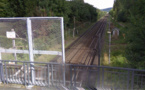 Médan : deux voleurs de cuivre surpris le long des voies par des agents de la sûreté ferroviaire 