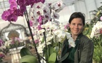 Eure : les orchidées sortent le grand jeu au château de Vascoeuil !