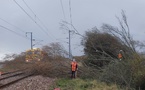 Un arbre tombé sur les voies et heurté par un train perturbe la ligne Rouen–Dieppe