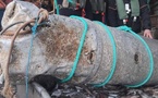 Une bombe allemande d’une tonne repêchée par un chalutier au large de Courseulles-sur-Mer