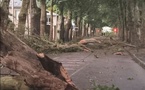 Tempête dans l’Eure : les Andelys durement touchés, la mairie ouvre une ligne dédiée
