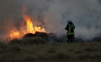 Une moissonneuse-batteuse s'embrase, 2,5 hectares de blé détruits près de Lillebonne