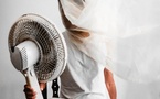 Canicule : la Seine-Maritime passe en vigilance orange à partir de vendredi midi