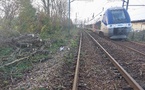 Incendie près des voies à Harfleur : le trafic ferroviaire interrompu