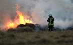 Seine-Maritime : un violent feu de chaumes mobilise 35 sapeurs-pompiers à Freneuse