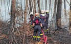 Incendies dans le Sud-Ouest : 20 nouveaux pompiers de l'Eure prennent la relève dans les Landes