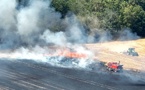 Eure : un incendie ravage dix hectares de chaume, un bois préservé des flammes aux Monts-du-Roumois