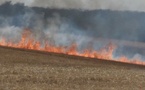 Seine-Maritime. Important feu de végétation dans le bois d’Orcher : 57 sapeurs-pompiers mobilisés