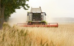 Sécheresse en Seine-Maritime : les agriculteurs autorisés à exploiter leurs jachères