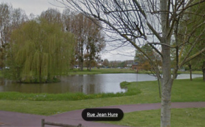 Le Trait. Plusieurs dizaines de poissons morts dans l'étang à cause d'une pollution