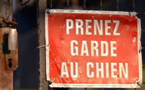 Yvelines : un père et son fils mordus aux bras par le chien qu'ils avaient en garde