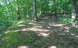 Un homme de 68 ans et un adolescent de 15 ans tués lors de parties de chasse ce matin