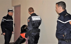 Près d'1 kg de résine de cannabis saisi au domicile d'un dealer à Conches-en-Ouche