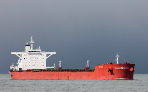 Le cargo britannique échoué à Quillebeuf-sur-Seine, entre le Havre et Rouen, est sorti d'affaire 