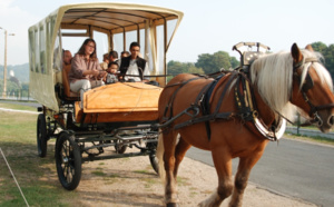 Dès le 1er avril : 70 idées originales de découvrir la nature dans l'Eure 