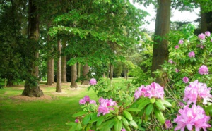 Devenez observateur des saisons : rendez-vous le 9 avril au Domaine d'Harcourt (Eure)