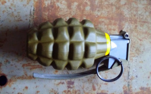 Yvelines : une grenade découverte par des enfants près d'un centre de loisirs à Limay
