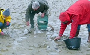 Forts coefficients de marées dès ce mercredi sur le littoral normand : les précautions à prendre 
