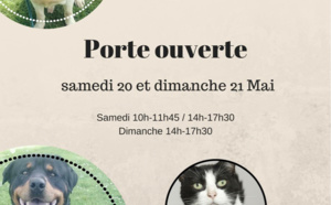 Vous voulez adopter un chat ou un chien ? Portes ouvertes ce week-end au refuge de la SNPA à Rouen 