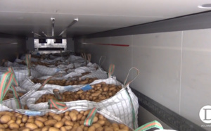 La douane saisit plus d'une tonne de résine de cannabis dans un chargement de pommes de terre