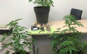 Un trafiquant de drogue interpellé à Ezy-sur-Eure par les policiers des Mureaux (Yvelines)