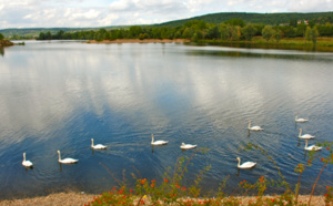 Yvelines : un jeune homme se noie dans un étang à Vernouillet, son ami est sauvé par un témoin 