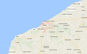 Ramassage de coquillages interdit sur 8 plages de Seine-Maritime entre Saint-Jouin-Bruneval et Veulettes