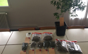 A Aigleville, près de Pacy-sur-Eure, les gendarmes découvrent de la drogue chez le trafiquant présumé