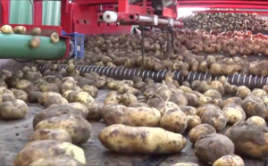 Un homme blessé grièvement par une machine à déterrer les pommes de terre, aux Grandes Ventes