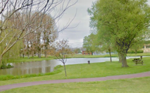 Un millier de poissons victimes d’un manque d’oxygénation dans l’étang du parc Jacques-Guérillon au Trait