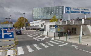 Yvelines : un chien mord un enfant et une voisine avant de provoquer la panique dans la rue