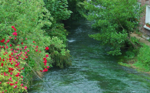 La rivière l’Eaulne en Seine-Maritime victime d’une importante pollution : les riverains mis en garde 