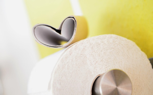 Rouen : il ingurgite du papier toilette et manque de s'étouffer en garde à vue à l'hôtel de police 