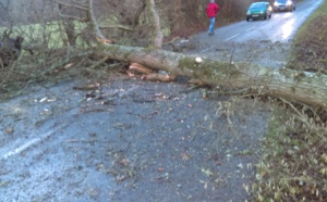 Arbres et câbles électriques arrachés, camion renversé... La tempête Eleanor est passée (aussi) par l'Eure