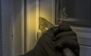 Ils venaient de fracturer une dizaine de caves à Rouen : des voleurs interpellés par la brigade canine