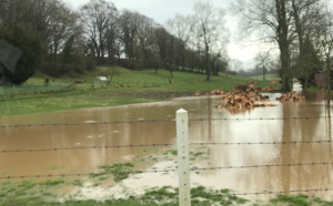 Elbeuf, Oissel et Tourville-la-Rivière reconnues en état de catastrophe naturelle en Seine-Maritime