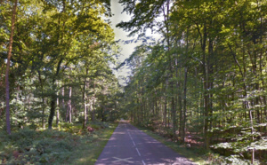 Seine-Maritime : un homme découvert mort en forêt de Canteleu, le médecin légiste conclut à un suicide