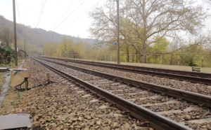 Yvelines : suicide sur la ligne Paris - Rouen, le trafic des trains interrompu 