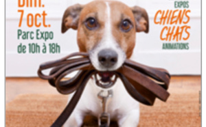 Mantes &amp; Compagnie : pour les amoureux des animaux, rendez-vous le dimanche 7 octobre 