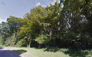 Le Havre : un homme de 36 ans retrouvé pendu en forêt de Montgeon