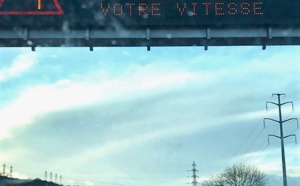 Yvelines : deux arbres n’ont pas résisté aux rafales de vent à Maisons-Laffitte et Conflans 