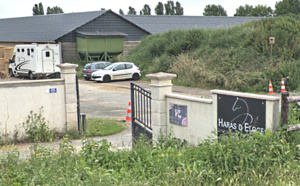 Extincteurs et silos à grains vidés, chevaux lâchés... saccage dans un haras des Loges-en-Josas