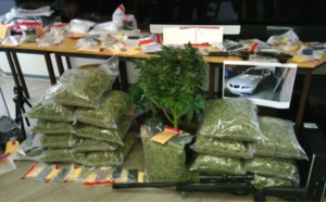 Un trafic de stupéfiants démantelé en Seine-Maritime : huit interpellations 