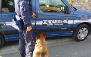 Eure : un réseau de drogue démantelé au Neubourg après deux ans d’investigations 