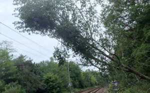 Trains supprimés et en retard entre Paris - Caen - Cherbourg : un train a heurté un arbre près d’Évreux 