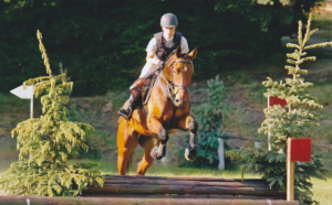 Le Haras du Pin (Orne) inscrit son nom à l’affiche des championnats d’Europe d’équitation en 2021